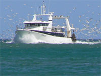 Aude tourisme Port la Nouvelle